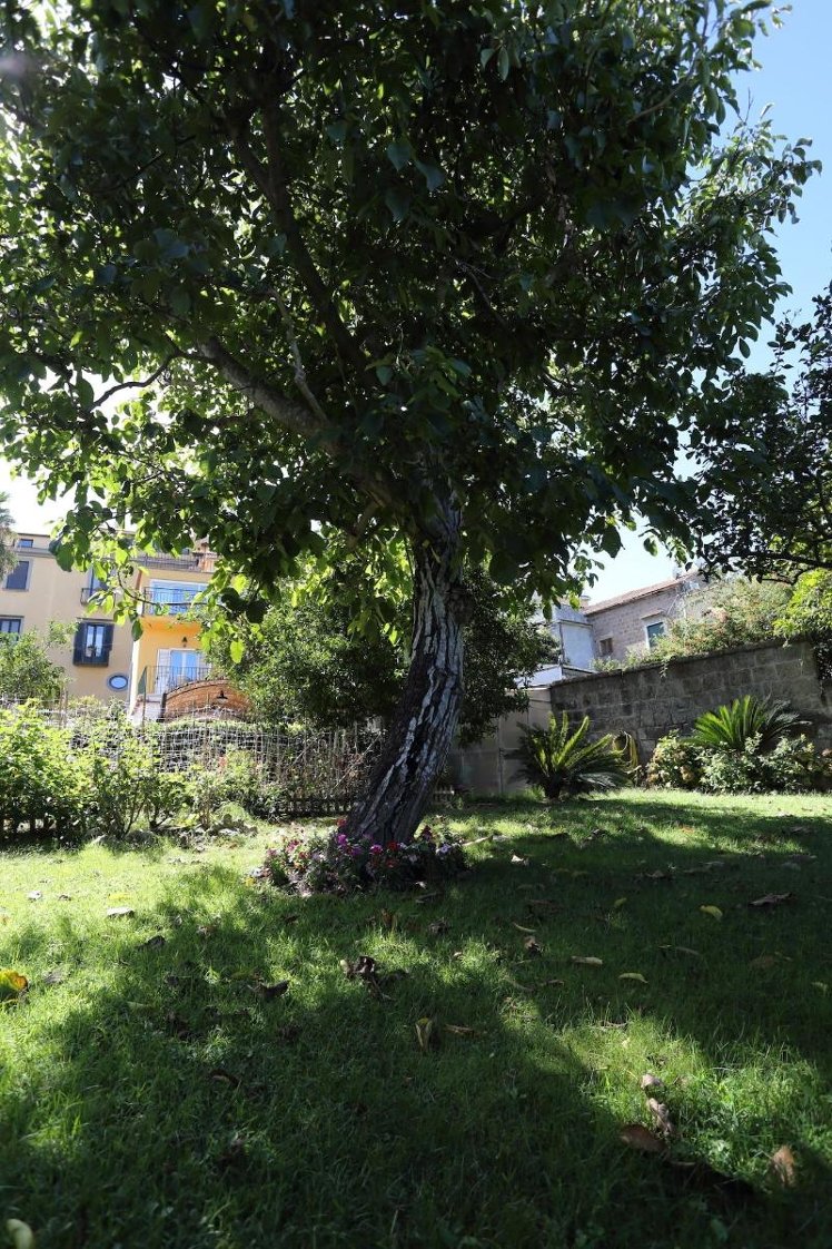 Ambrosio Relais