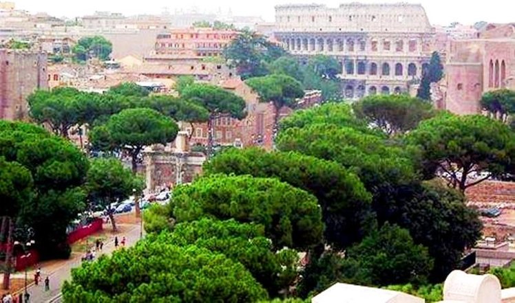 General view