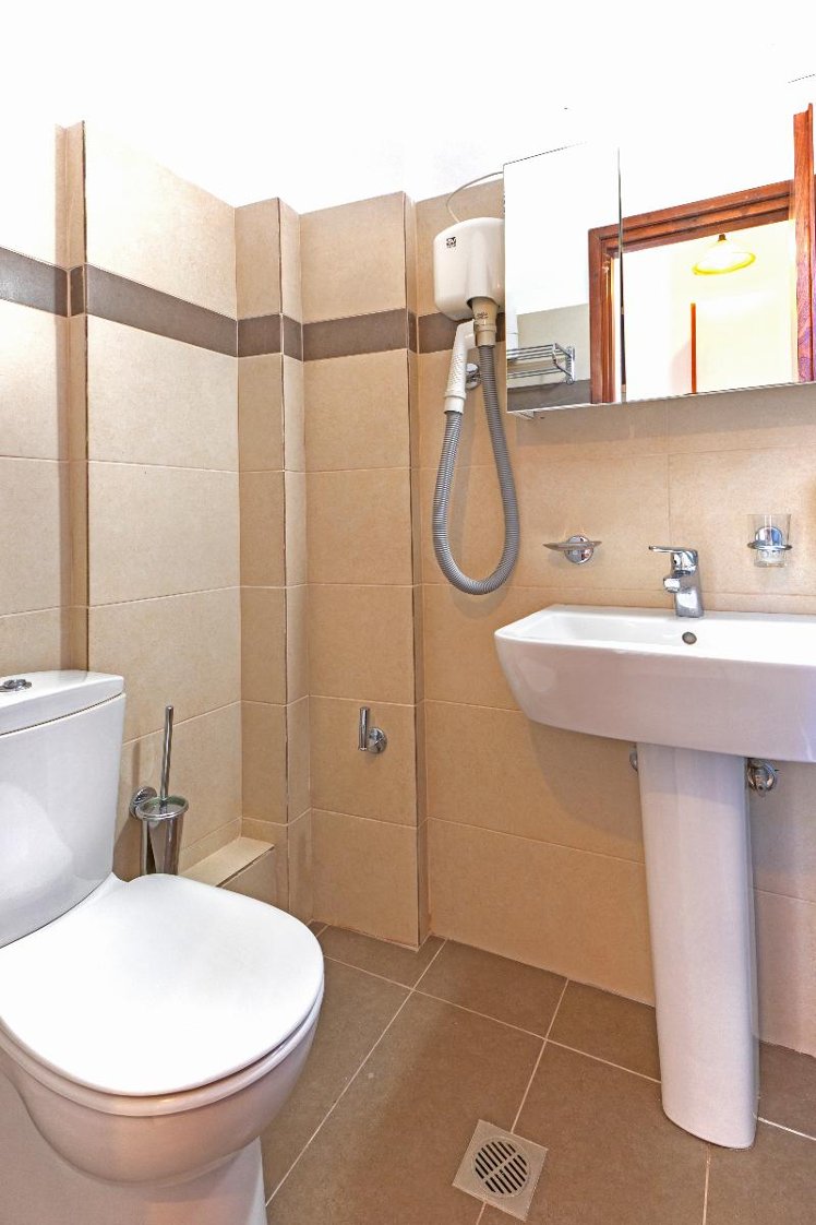 Double or Twin MOUNTAIN VIEW Room