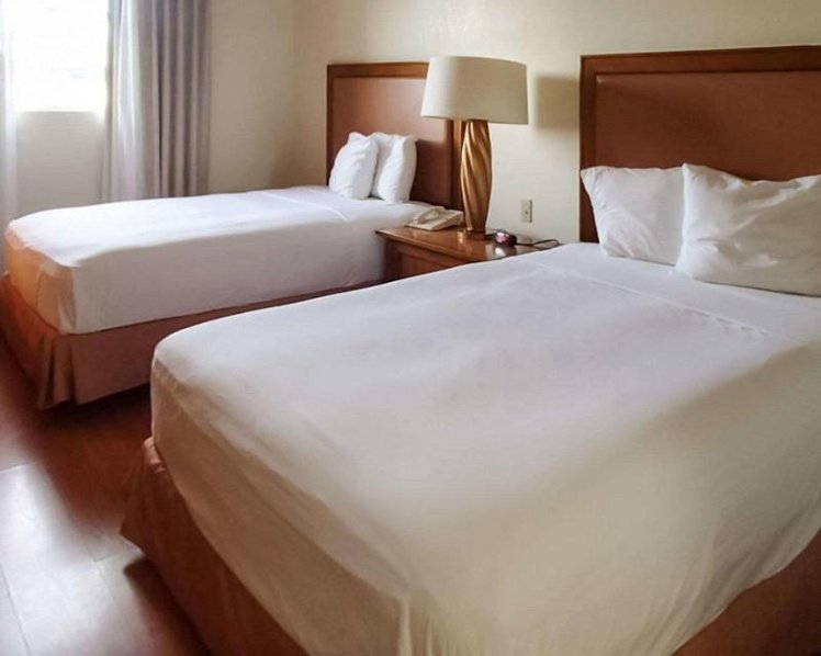 DOUBLE GUEST ROOM Room