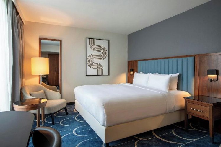 DOUBLE SUPERIOR KING BED Room