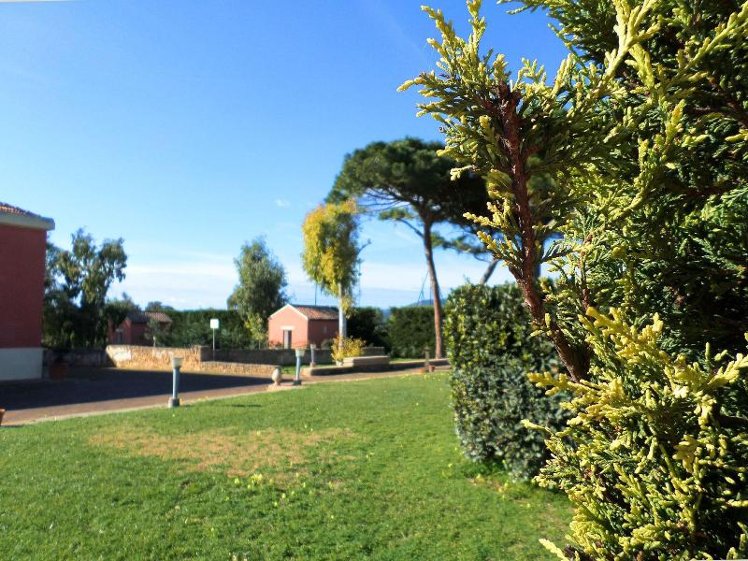 General view