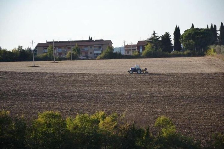 General view