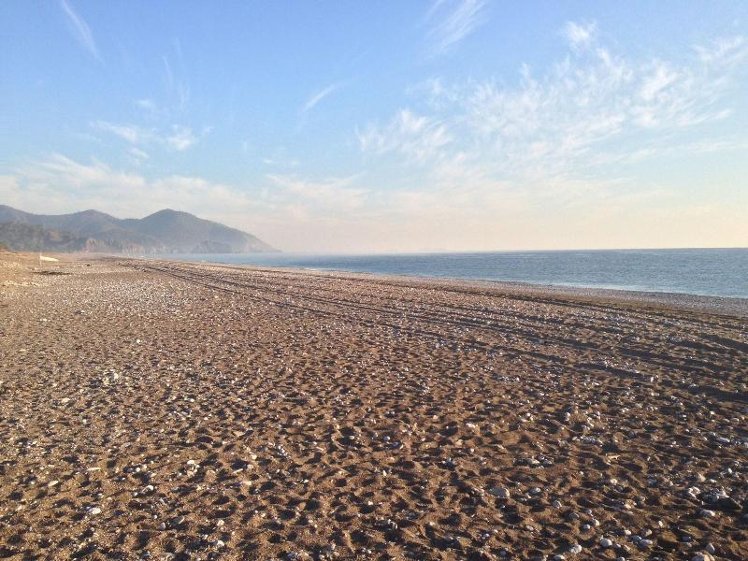 Beach