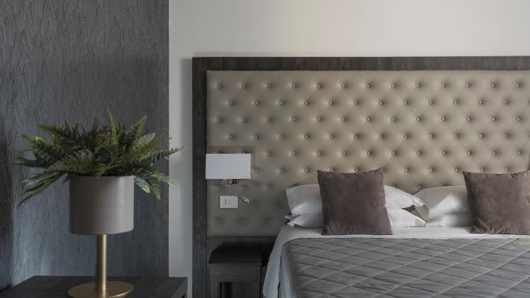 DOUBLE SINGLE USE DELUXE Room