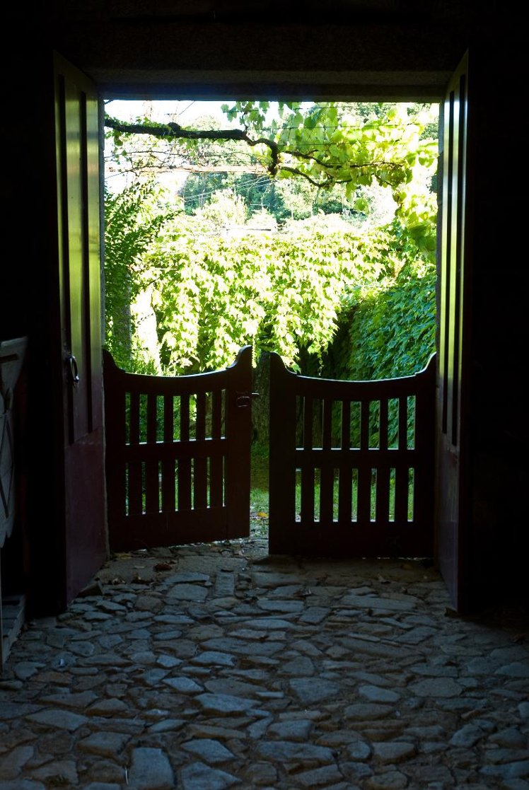 Holiday image