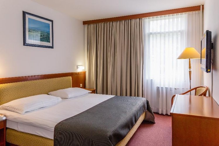 JUNIOR SUITE STANDARD Room