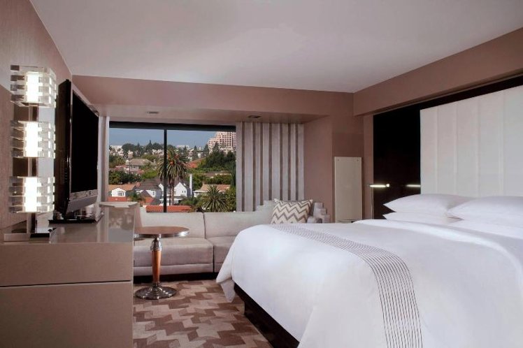 DOUBLE EXECUTIVE KING BED Room