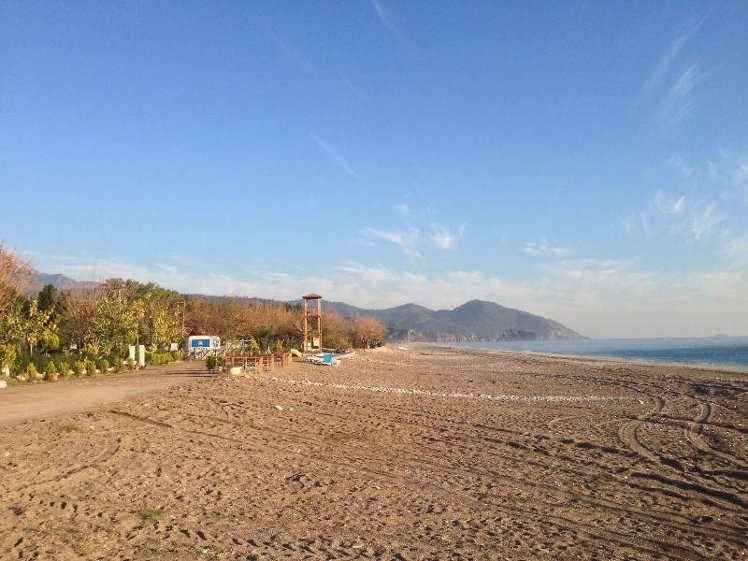 Beach