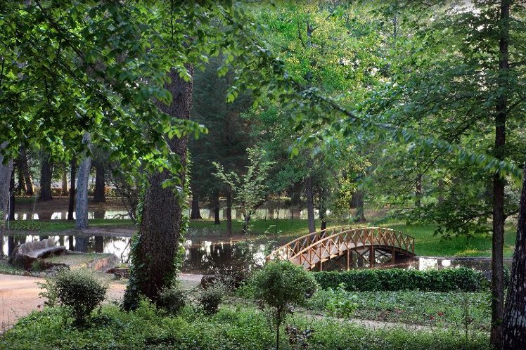 General view