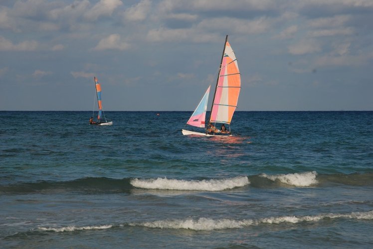 Slide image