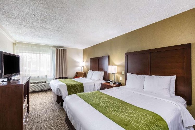 DOUBLE TWO QUEEN BEDS Room