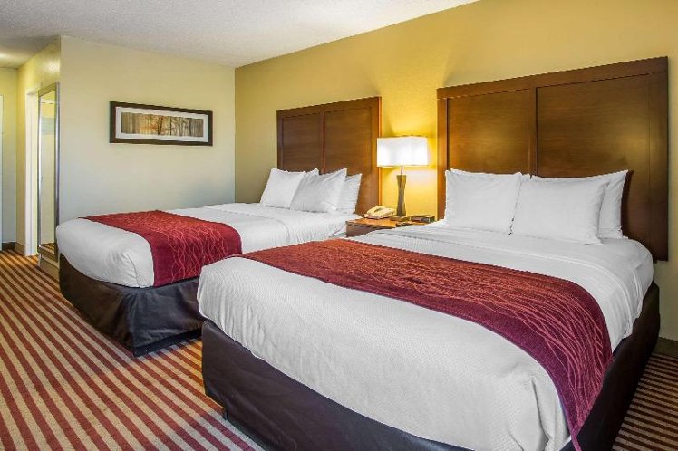 DOUBLE STANDARD Room