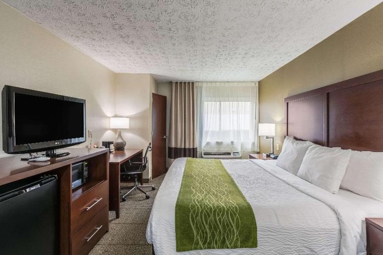 DOUBLE NON SMOKING Room