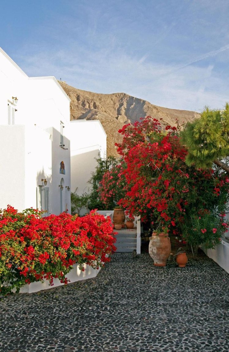 General view
