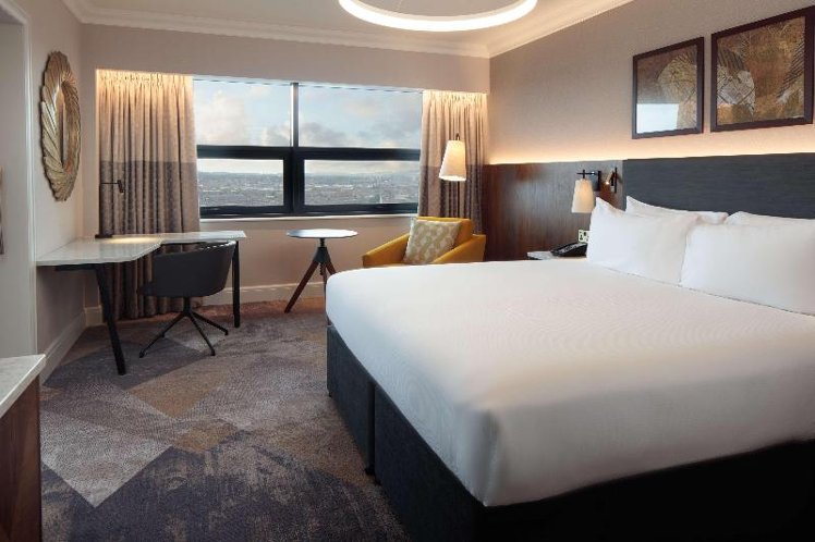 DOUBLE EXECUTIVE KING BED Room