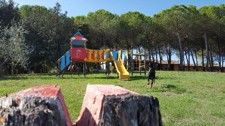 Holiday image
