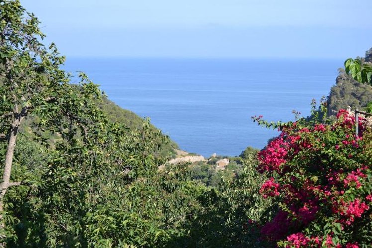 General view