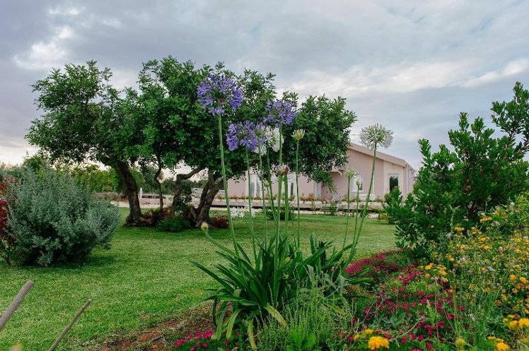 General view