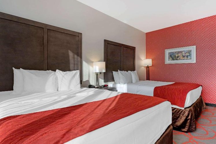 DOUBLE TWO QUEEN BEDS Room