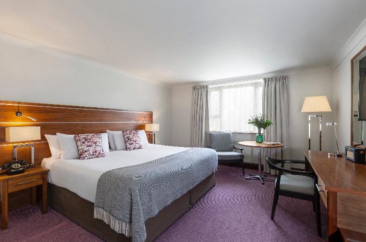 DOUBLE CLASSIC KING BED Room