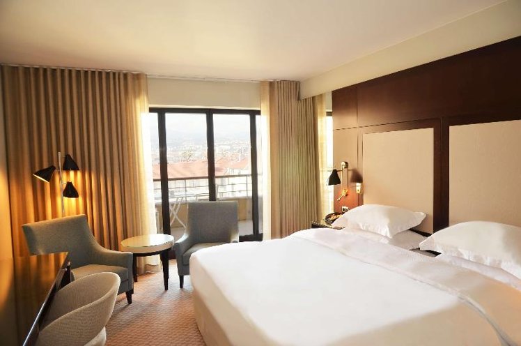 TWIN MOUNTAIN VIEW Room