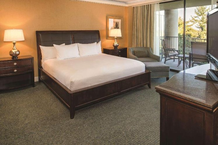 SUITE MOUNTAIN VIEW Room