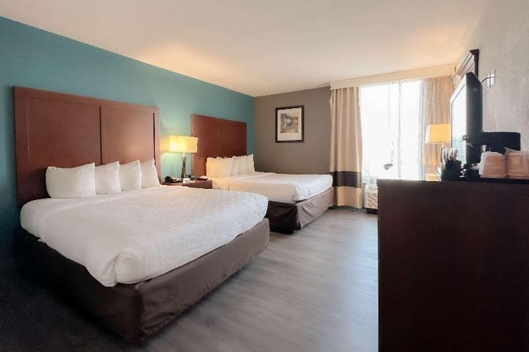 DOUBLE TWO QUEEN BEDS Room