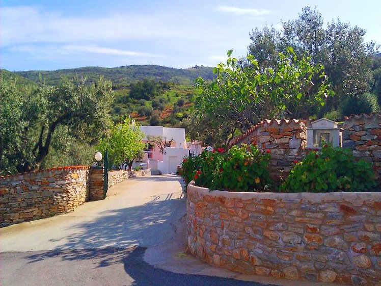 General view