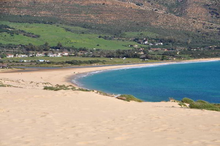 Holiday image