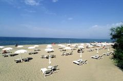 Holiday image