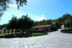 Holiday image