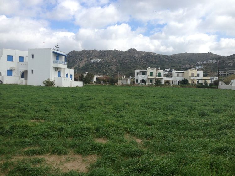 Image8277670