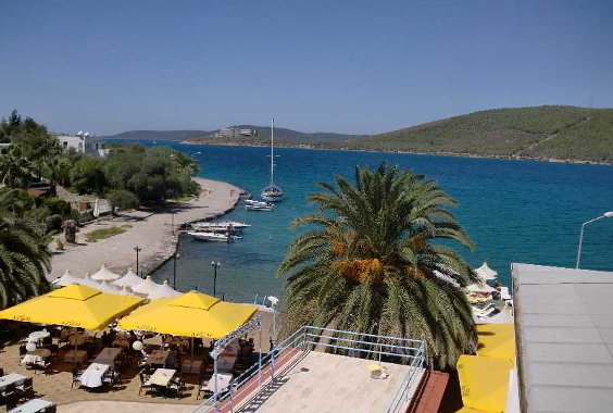 Holiday image