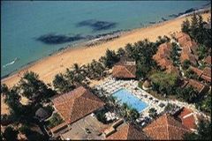 Holiday image