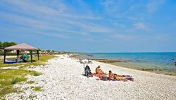 Holiday image