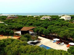 Holiday image