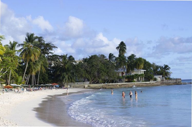 Slide image