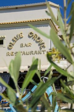 Olive Grove Hotel Sidari