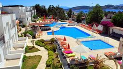 Holiday image