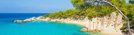 Holiday image