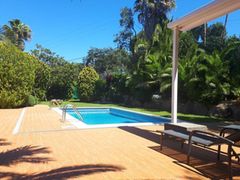 Holiday image