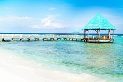 Grand Oasis Tulum