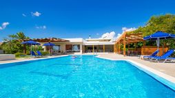 Holiday image