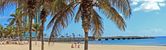Holiday image