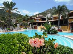Holiday image