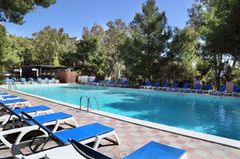 Holiday image