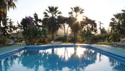 Holiday image