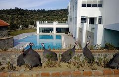 Merada Termal Hotel & Spa
