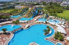 Holiday image